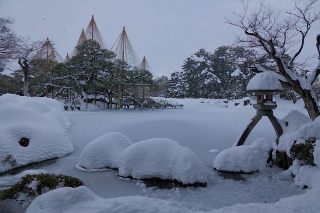 Photos: 雪の兼六園
