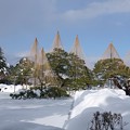Photos: 雪の兼六園　唐崎松