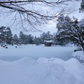 雪の霞が池　内橋亭と徽軫灯籠
