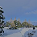 雪の霞が池と唐崎松