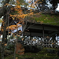 写真: 山崎山の東屋
