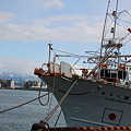 金沢港　イカ釣り漁船と山並み(3)