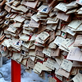 写真: 金沢神社(5)　絵馬　願いを込めて