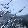 卯辰山　見晴らし台から(4)　雪