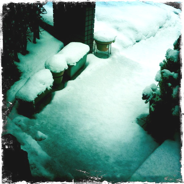 写真: iPhone4 カメラアプリ Hipstamatic　今日の雪