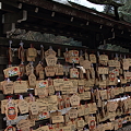 Photos: 尾山神社　絵馬１