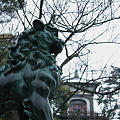 尾山神社　狛犬