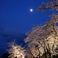 金沢城公園　桜と月