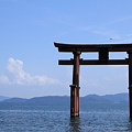 琵琶湖に浮かぶ鳥居(3)　白髭神社　夏の雲&amp;鳥