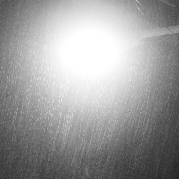 写真: モノクロの雨