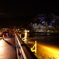 渡月橋から見た嵐山の夜景 (2)