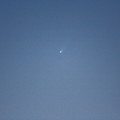 写真: アイソン彗星