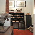 写真: 化石の部屋