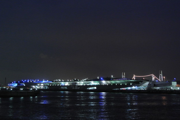 写真: 大さん橋 夜