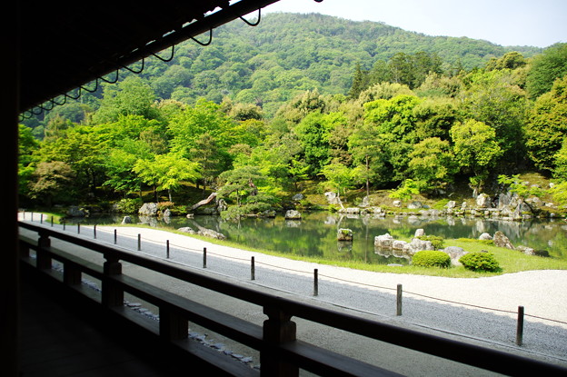写真: 天龍寺 日本庭園