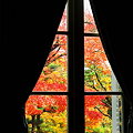 写真: 窓から紅葉