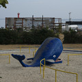 写真: 砂浜鯨