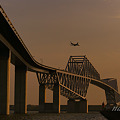 写真: 東京ゲートブリッジ　夕焼け飛行