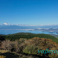 写真: 達磨山からの富士山