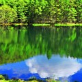 写真: 湖面に浮かぶ新緑と青空と雲
