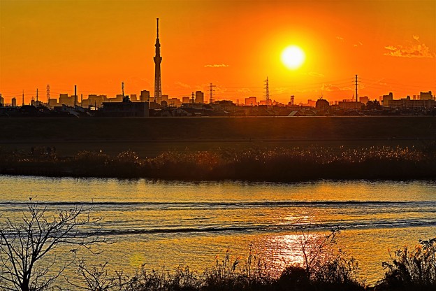 写真: 江戸川堤防からの夕景