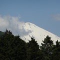 写真: 道の駅「箱根峠」から見た富士山