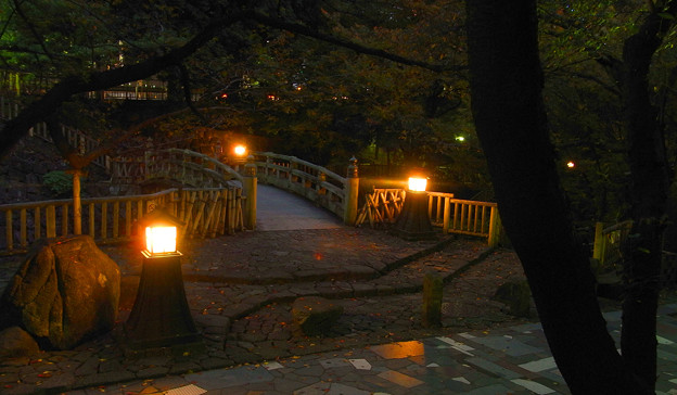 写真: 橋と燈火と木々の影