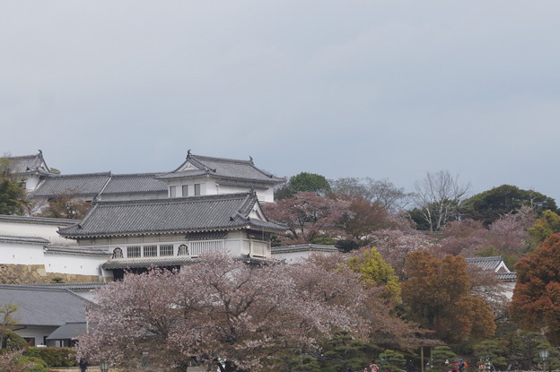 写真: 姫路城の写真0148