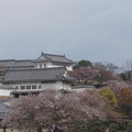 写真: 姫路城の写真0149