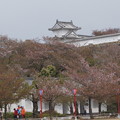 写真: 姫路城の写真0150