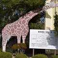 写真: 姫路市立動物園0002
