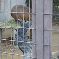 写真: 姫路市立動物園0005