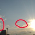 Photos: 【今日の大都会岡山】左幻日が薄く出ていたのだが、それと太陽との間に見たことのないアーク？（彩雲？）が出ていた。