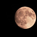 写真: 中秋の名月