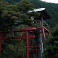 松姫神社-6134