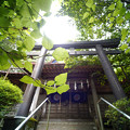 写真: 朝日稲荷神社 拝殿-1628