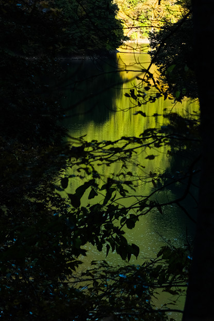 Photos: 色づく奥多摩湖-1630
