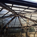 写真: 江戸川区自然動物園
