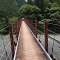 写真: 小山の吊り橋