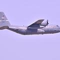 写真: 三沢基地から飛び立つC-130Hハーキュリーズ輸送機?