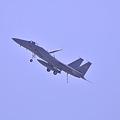 写真: 岩国基地からテイクオフ航空自衛隊F-15Jイーグル・・? エアブレーキ板出してアレスティングフックも・・