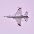 写真: 白い機体F-2 岐阜基地から飛来?・・静浜基地