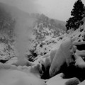 地獄谷温泉の国の天然記念物 雪の渋の地獄谷噴泉・・