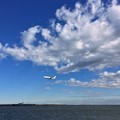 写真: 1月31日 羽田空港のあとは周辺へ 浮島公園へ大空と航空機。。