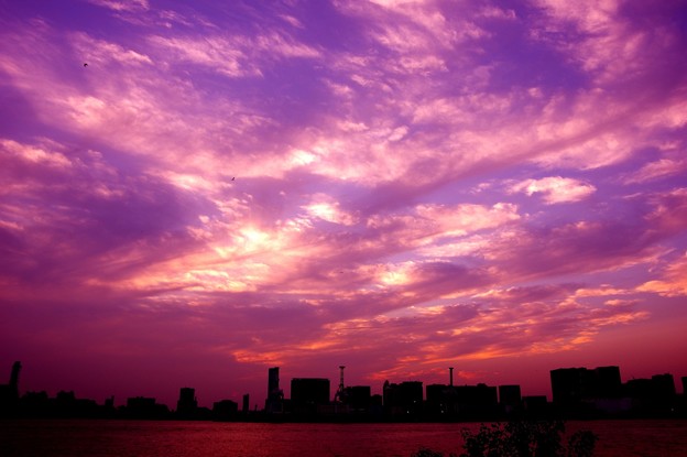 写真: 夕暮れの空・・・お台場から見る品川埠頭 20141011