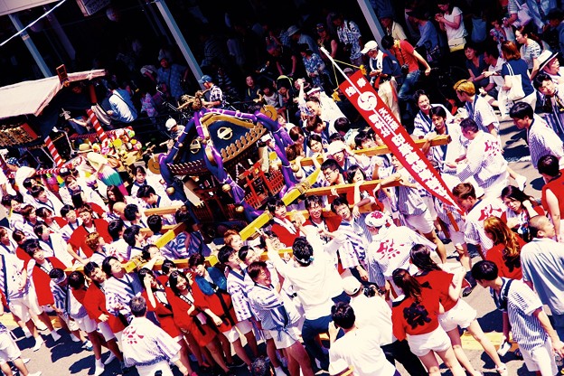 日産追浜の神輿。。若い男女で担いで。。横須賀おっぱま祭り7月12日
