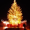 ある日の冬の横浜の夜・・赤レンガの聖夜のツリー・・20141212