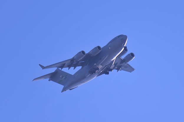 写真: 朝の厚木基地上空・・横田へ向かうC-17グローブマスター 20150112