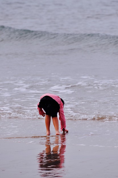 写真: 波打ち際で貝拾い。。芦屋海岸 20151121