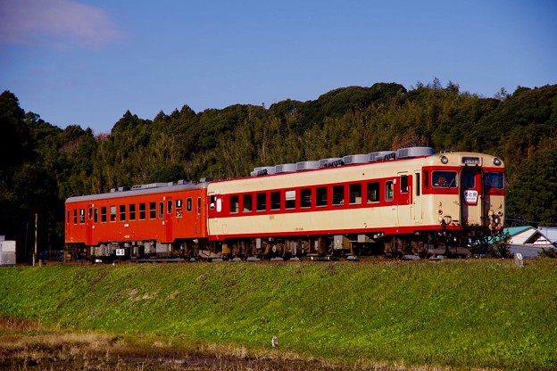写真: いすみ鉄道 田舎の風景を走る臨時急行 キハ28とキハ52。。20151220